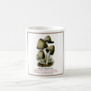Recherche de haie tasses Champignon