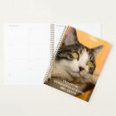 Recherche de classeur de chat Pour enfants