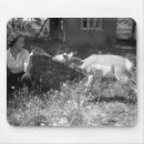 Recherche de antilopes tapis souris Historique