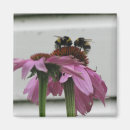 Recherche de bourdons magnets Pour elle