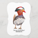 Recherche de canard de mandarine Amoureux des oiseaux