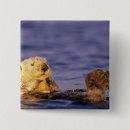 Recherche de loutre mignonne badges Faune