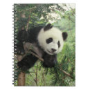 Recherche de sichuan Keren su