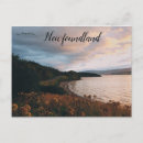 Recherche de champ des fleurs cartes postales Paysage