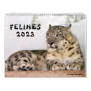 Recherche de leopard calendriers Jaguar