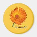 Recherche de tige magnets Vert