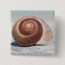 Recherche de coquillage badges Nautique