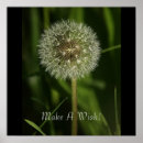 Recherche de milieux photographie Plantes