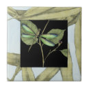 Recherche de libellules carreaux Animaux