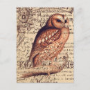 Recherche de hibou vintage cartes postales Oiseau
