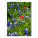 Recherche de couverture indienne cartes postales Pour tous