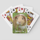 Recherche de pigeon jeux de cartes Amoureux des animaux