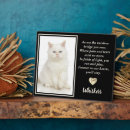 Recherche de chat autres Pour animaux
