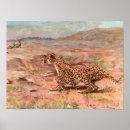 Recherche de savane africaine posters Afrique