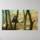 Recherche de monkies posters Singe