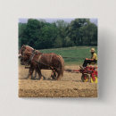 Recherche de amish accessoires Agriculture