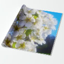 Recherche de poirier papier cadeau Poire