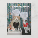 Recherche de apprenti posters Chat