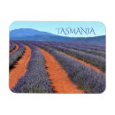 Recherche de savane magnets Australie