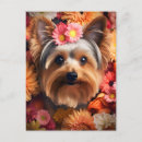 Recherche de yorkshire terrier chien cartes postales Portrait