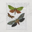 Recherche de butterfly cartes postales Flowers