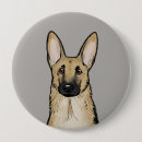 Recherche de berger badges Animal