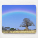 Recherche de adam jones tapis souris Arbre baobab africain