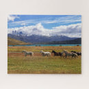 Recherche de portrait équestre puzzles Sauvage