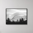 Recherche de arbre noir et blanc posters toiles Nature