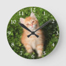 Recherche de dame folle de chat horloges Amoureux des chats