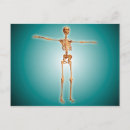 Recherche de système squelettique cartes postales Vertébré