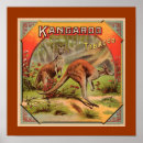 Recherche de kangourou australie posters Illustration