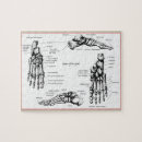 Recherche de un pied puzzles Orteils