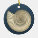 Recherche de fossile ornements Ammonite