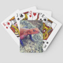 Recherche de lézard jeux de cartes Nature