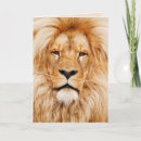 Recherche de lion africain vœux cartes Félin