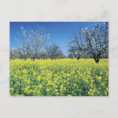 Recherche de pommier cartes postales Fleur