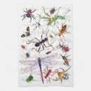 Recherche de insectes cuisine linges Illustration