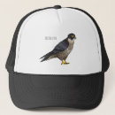 Recherche de faucon casquettes Oiseau de proie
