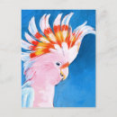 Recherche de cockatoo posters Mohawk