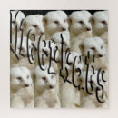 Recherche de meerkat puzzles Mignon