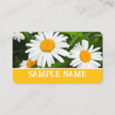 Recherche de marguerite jaune cartes visite Nature