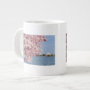 Recherche de dc de washington tasses Consumerproduct