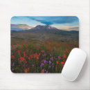 Recherche de indiens tapis souris Paysage