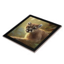 Recherche de cougar carreaux Faune