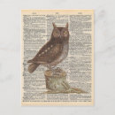 Recherche de hibou vintage cartes postales Brun