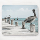 Recherche de quai tapis souris Nautique