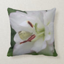 Recherche de papillon blanc coussins Fleur