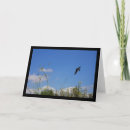 Recherche de hirondelle vœux cartes Photographie