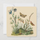Recherche de insectes d carrées invitations Vintage